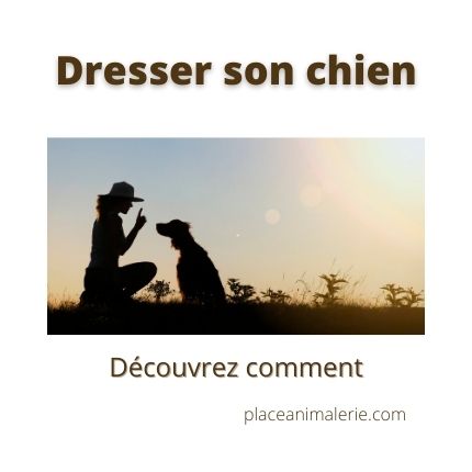 Dresser son chien